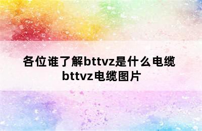 各位谁了解bttvz是什么电缆 bttvz电缆图片